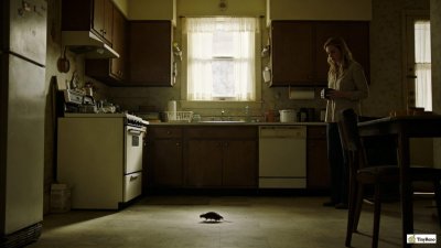 Are Rats Scared of Humans: 4 Things Renters Get Wrong About Traps